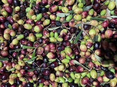 AP1GczOVjhsftASar20vvKtKGDIhTY7A-1