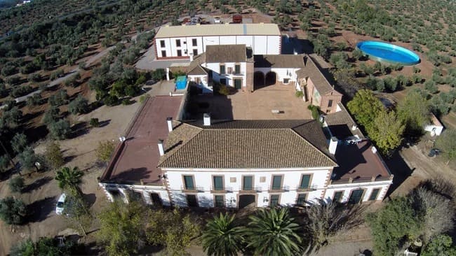 almazara-pago-de-las-monjas-prem