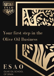 Your first step In the olive oil business portada