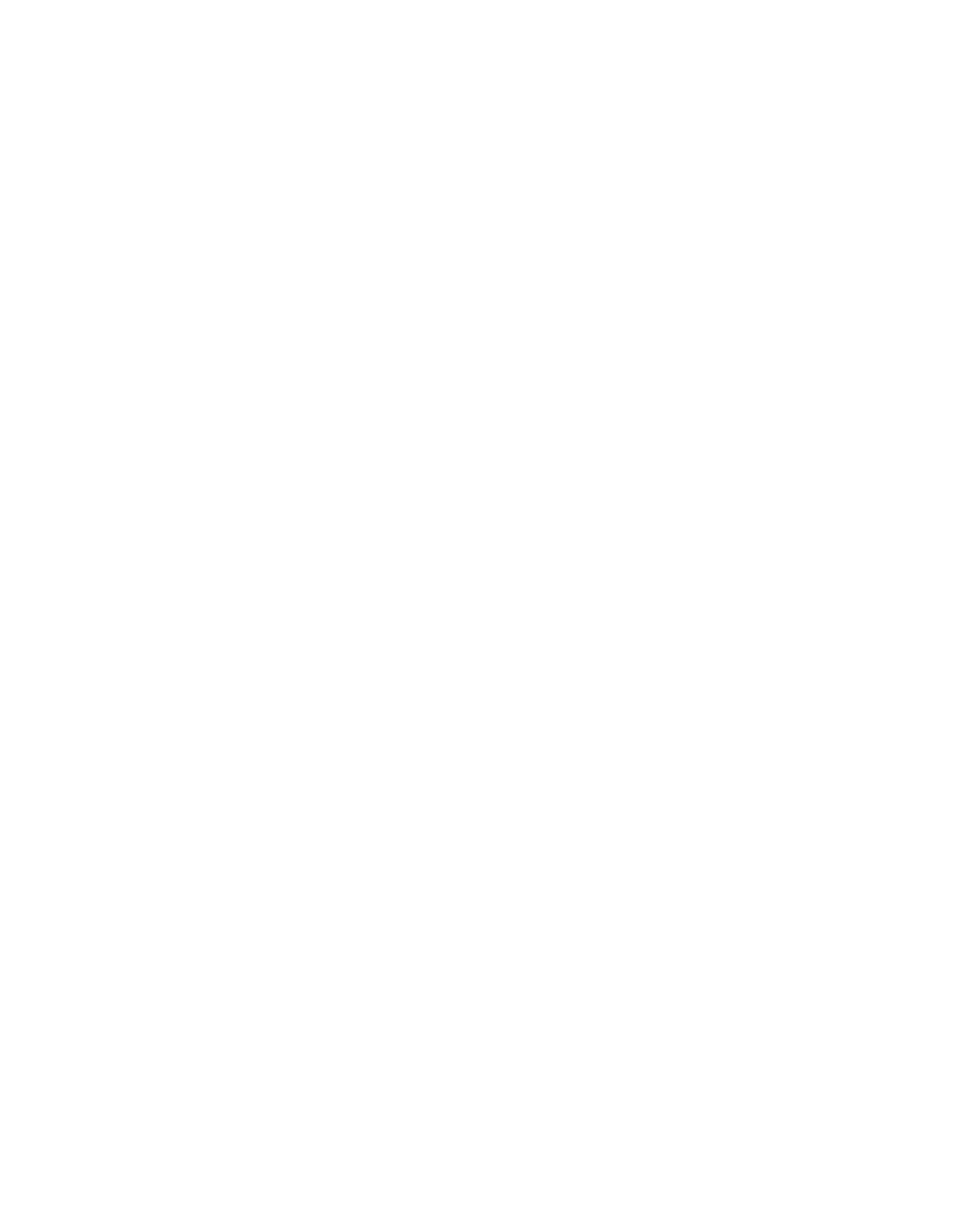 ESAO  Escudo + Nombre Blanco (1)