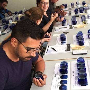 Foto-4-Consultor-Consultant