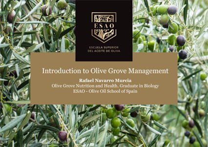 img-ebook-introduction-to-olive-grove-management